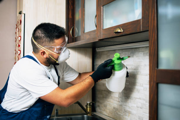Best Wasp Removal Services  in Shawano, WI