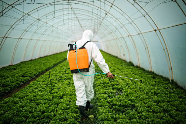 Best Pest Control Near Me  in Shawano, WI