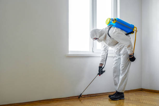Best Rat Extermination Near Me  in Shawano, WI