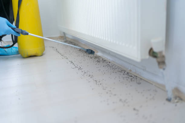 Best Mosquito Control Services  in Shawano, WI